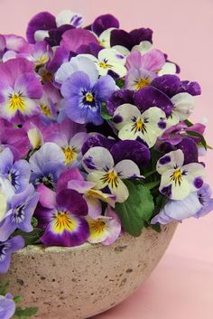 Pansies Tablescape Centerpiece www.tablescapesbydesign.com https://www.facebook.com/pages/Tablescapes-By-Design/129811416695