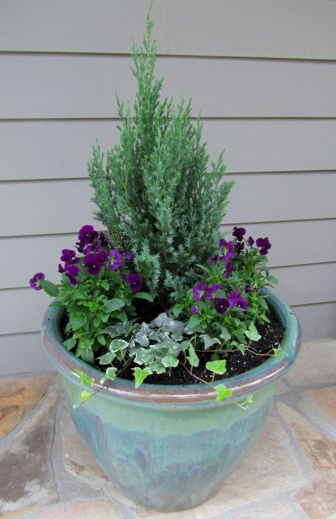 Add some winter color with tips on container gardens from Scotts Miracle Gro. Remember the "three shape rule." #garden #containergarden: 