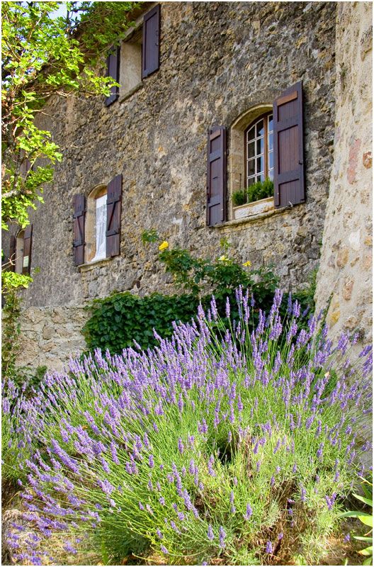 Pretty Provence > House of Lavender. Don't need anyone to tell you where this is..... epitome of French!: 