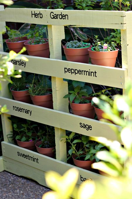 DIY Pallet Herb Garden تنسيق جيد لأصيص شتلات الأعشاب !! It is Simple, Organized, Ease of use, Ease for Documentation and low cost !!