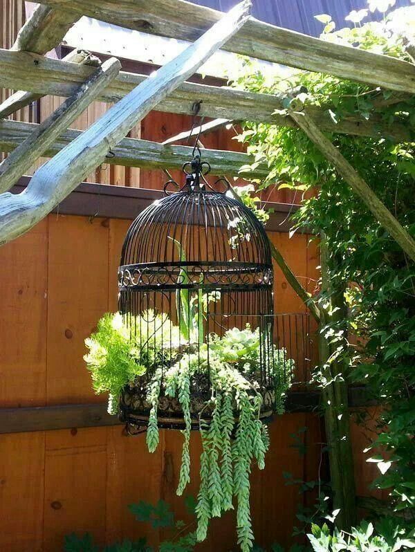 bird cage hanging planter