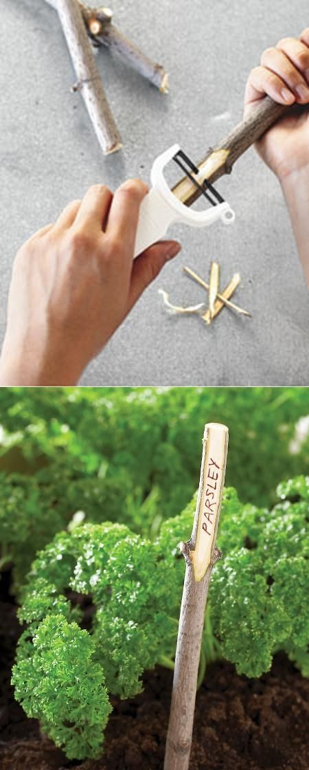 Upcycled Twig Plant Markers - a low cost way to reuse garden prunings to label your plants. 20 more creative low cost ideas for plant labels @ http://themicrogardener.com/20-creative-diy-plant-labels-markers/ | The Micro Gardener