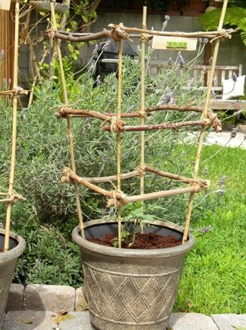 Tomato cages made with twigs and sticks