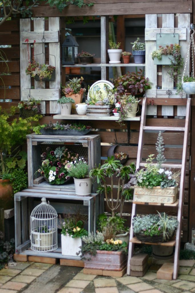 Potted shelves